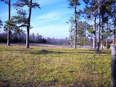 5th image of 231 Arrowhead Dr