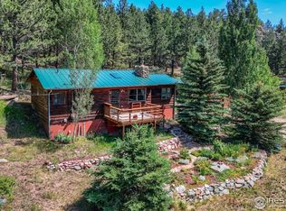 1495 Cold Springs Rd, Nederland, CO 80466