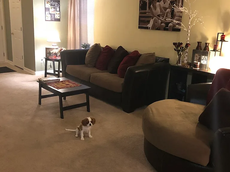 383 Gardners Cir — Photo 5