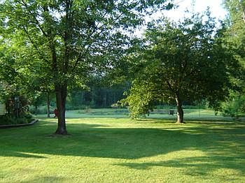 Just like a private park...and it can be all yours!  Quiet country at it's best.br /br /There are mature trees as well as cherry and apple trees.