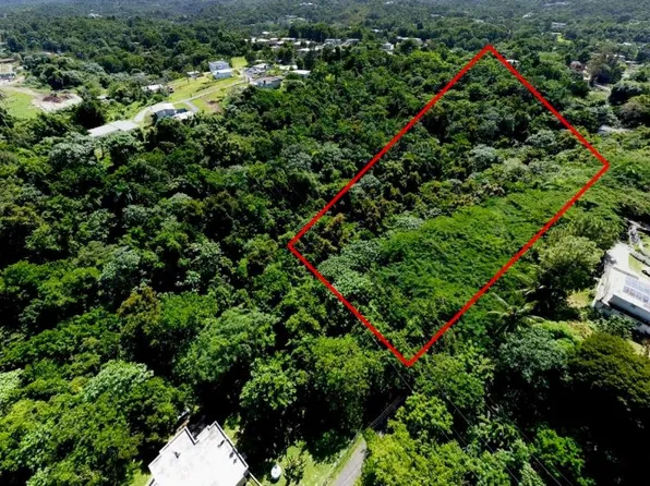 Bo Callejones Sect, Lares, PR 00669