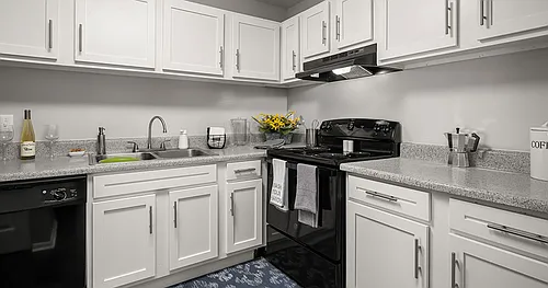 St. John's Pointe Apartment Homes Photo 1