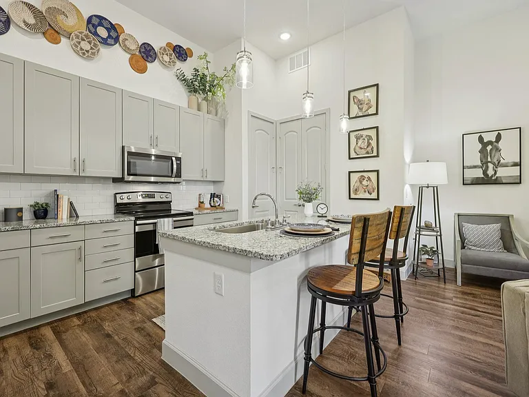 Luxia Craig Ranch — Photo 9