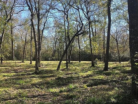 3rd image of 0 Oak Bend Dr