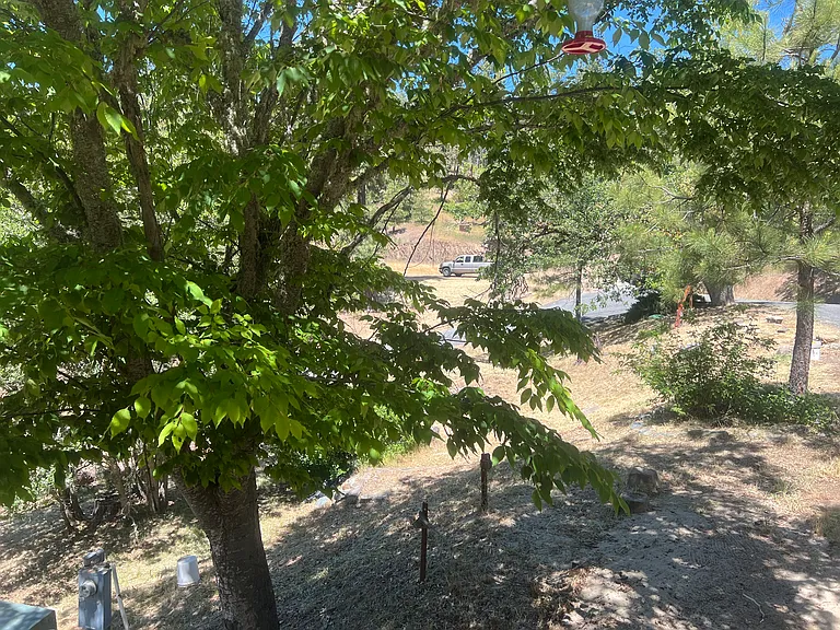 10625 Upper Applegate Rd — Photo 9