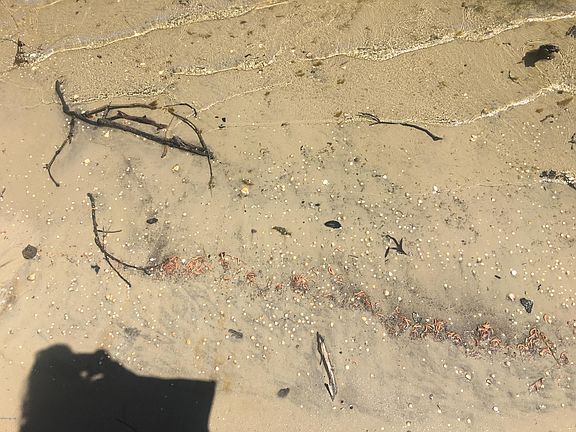 3rd image of Lot 21 Maritime Loop