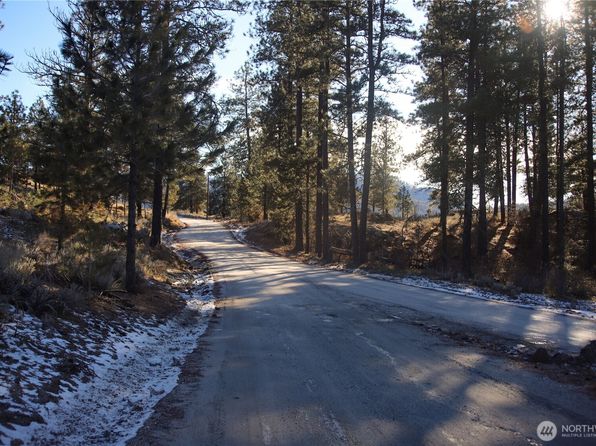 0 xxxx Vacant Land (Lot 95), Riverside, WA 98849