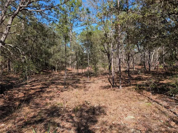 SW 81st St Lot 2, Dunnellon, FL 34432