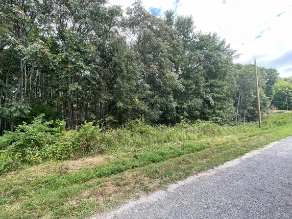 5 Bearfield Lot Rd, Amherst, VA 24521