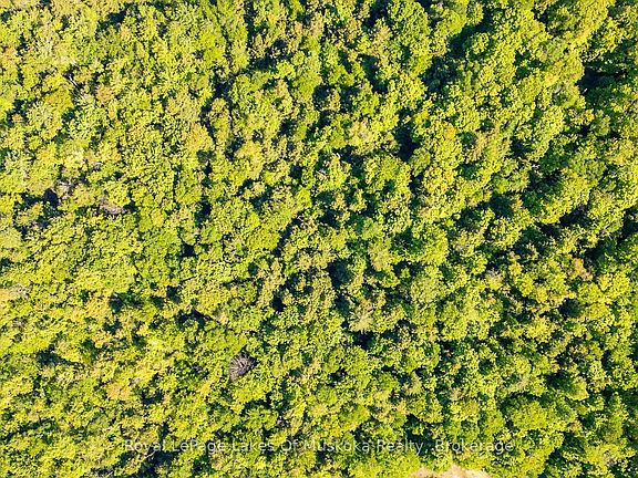 5th image of 1061 S Muldrew Lake Rd