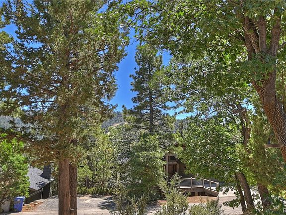 4th image of 1254 S Sheephorn Dr