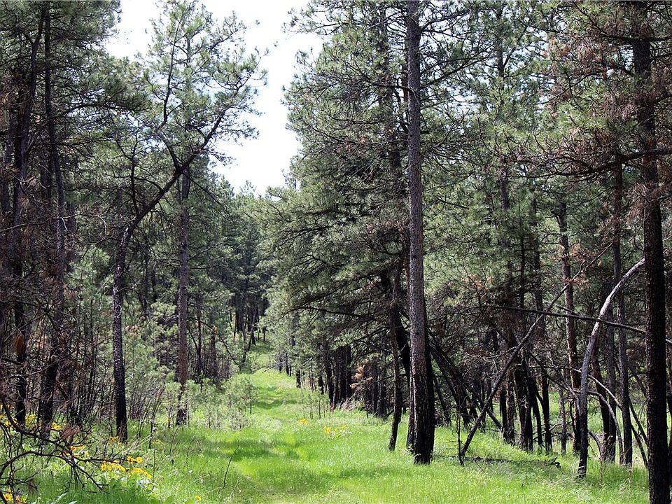 1st image of Nhn Deer Ln