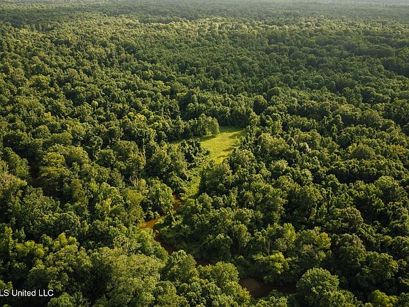 17th image of this home