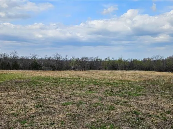 0 S State Route D, Drexel, MO 64742