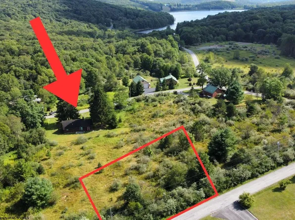 52 Bobolink Dr, Terra Alta, WV 26764
