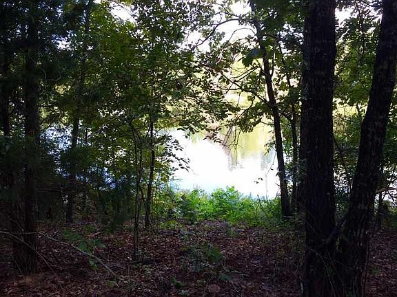 2nd image of 76 Cypress Creek Dr