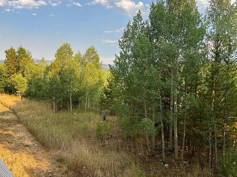 4827 Ryan Gulch Rd #4827 — Photo 30
