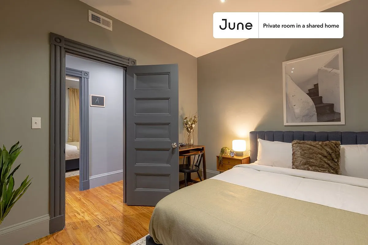 Queen bedroom in 4 bed/1 bath home in JFK/UMass #352 B — Photo 2
