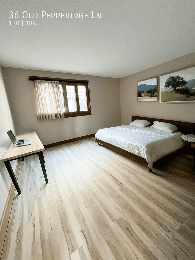 Modern 1BR Apartment in Wethersfield Available Now — Photo 3