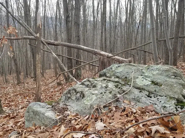 500 Marty Ln, Great Cacapon, WV 25422