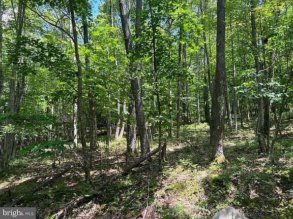 5th image of 53 Tall Oaks Dr