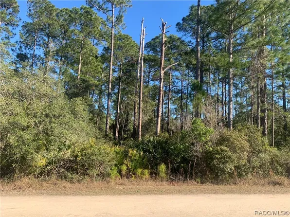 0 SW 125th Ave, Cedar Key, FL 32625