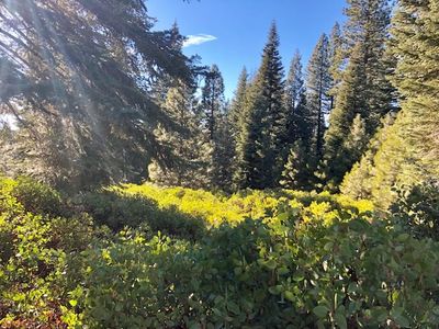 50 Fox Peak Dr, Westwood, CA, 96137