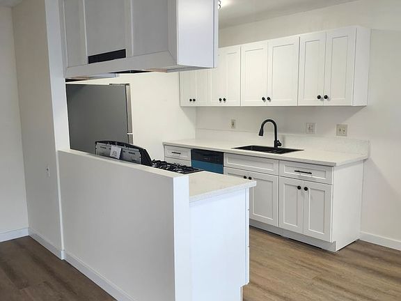 Newly remodeled kitchen. dishwasher, stove, fridge included.