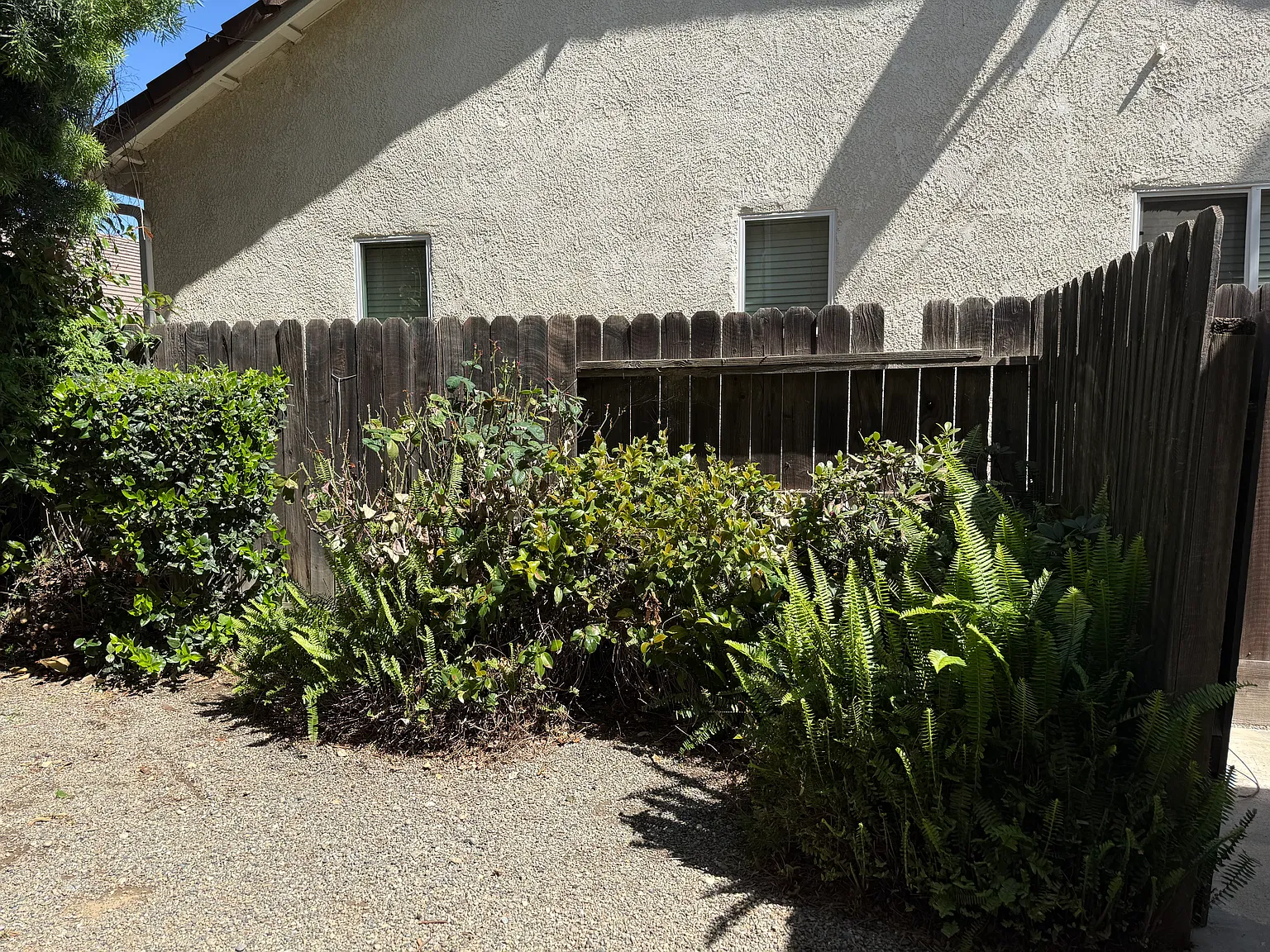 Studio, 16 sqft, $950 — Photo 2