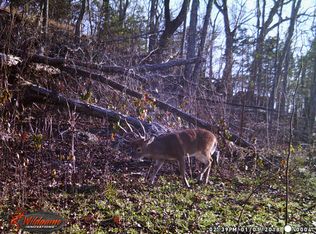 582 Bell Point Rd, Laceys Spring, AL 35754