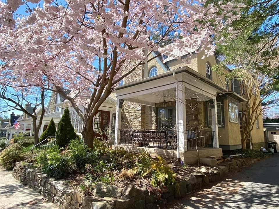 Covered patio, perennial plants, cherry tree and shared driveway
