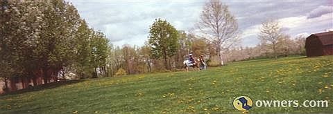 left side of backyard