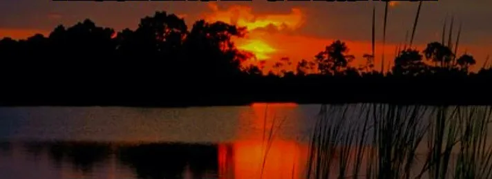 621 51st Ave NE — Photo 18