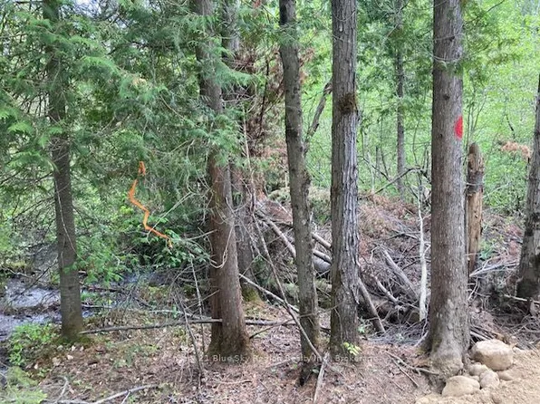 28 Concession #11, Lake Of Bays, ON P0A 1H0