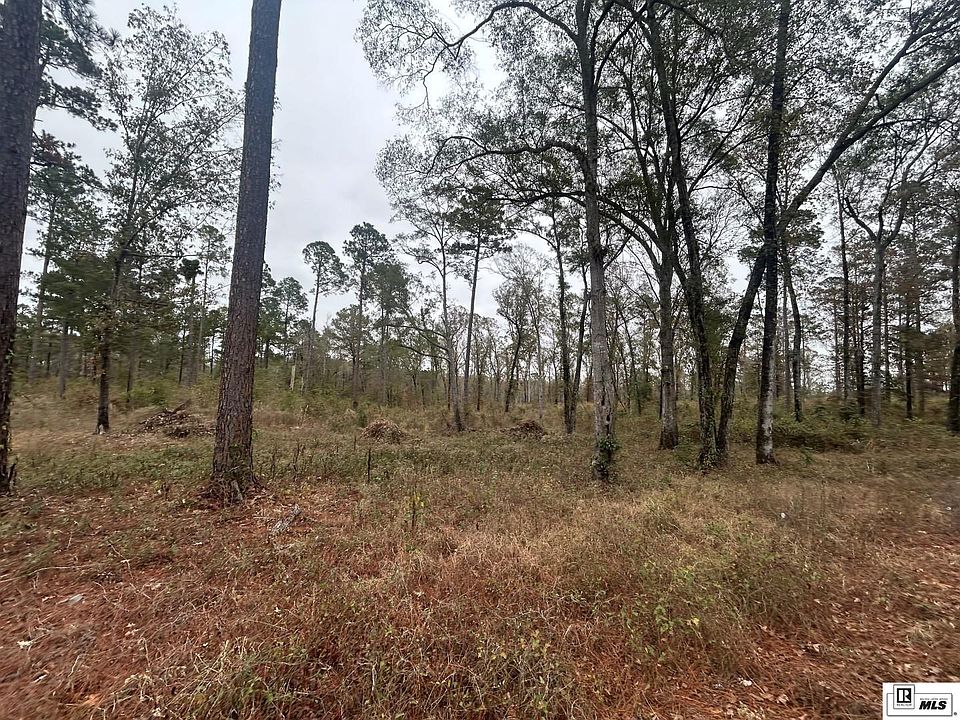 2nd image of 16 Caples Rd