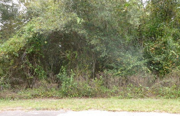 1st image of 9129 E Royal Palm Dr