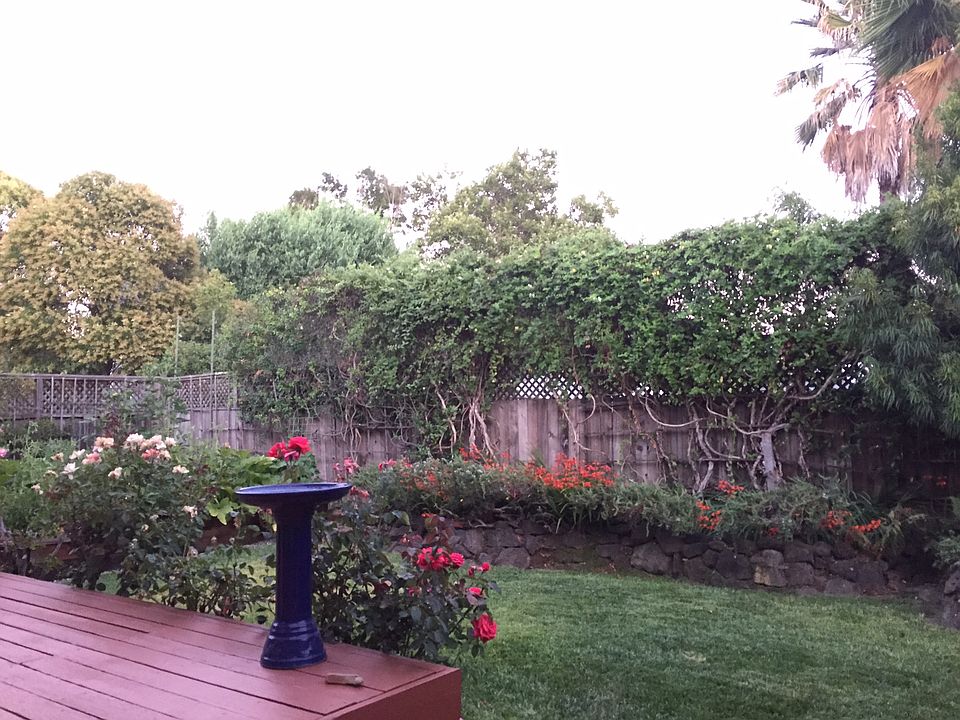 1st image of 9287 Cordellia Ln
