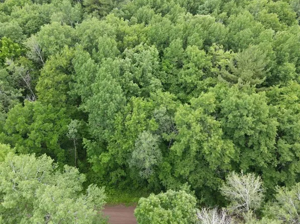 LOT 5 Wilderness Retreat, Pine City, MN 55063