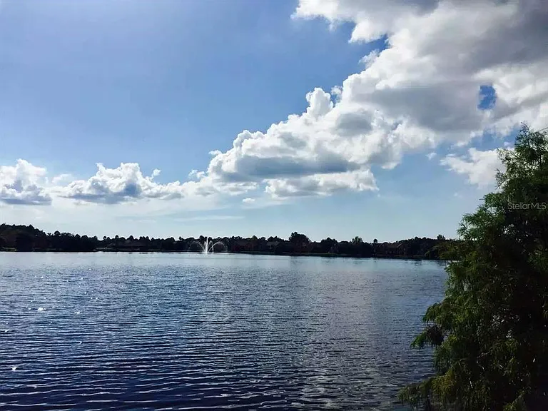 9020 Lake Chase Island Way #9020 — Photo 6