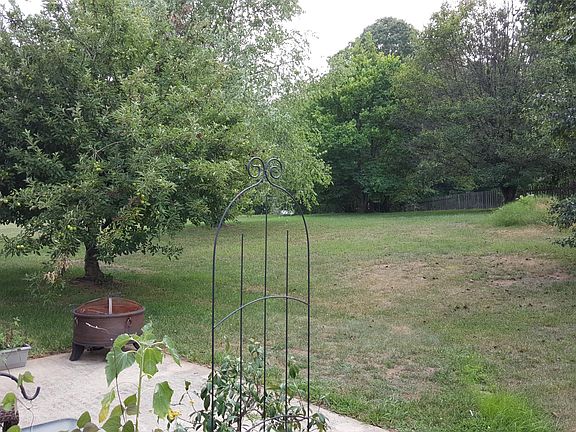 Large backyard with plenty of room to roam and play