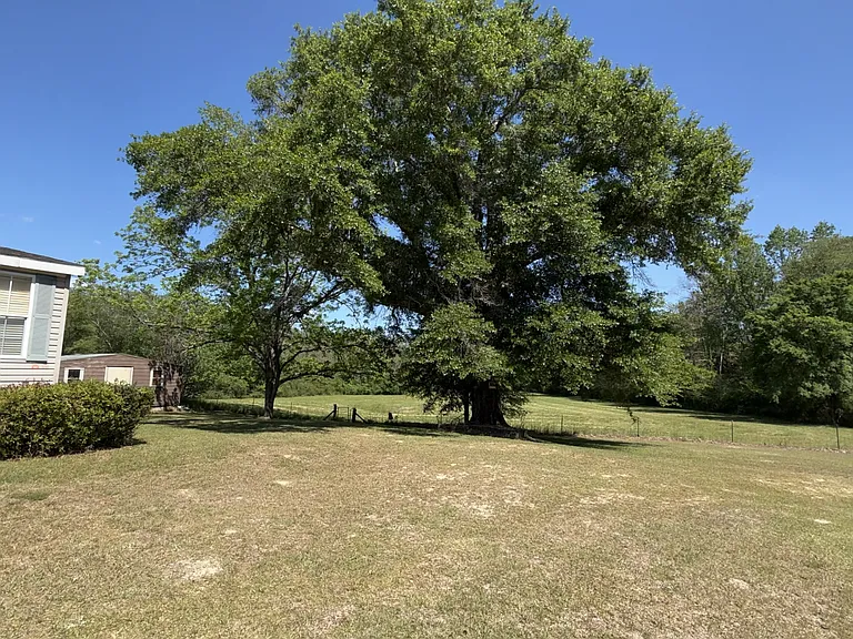 198 County Road 1165 — Photo 23