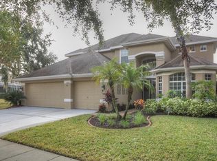 11626 Renaissance View Ct, Tampa, FL 33626