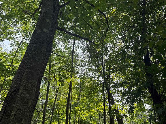 4th image of TBD Woodstock Rd
