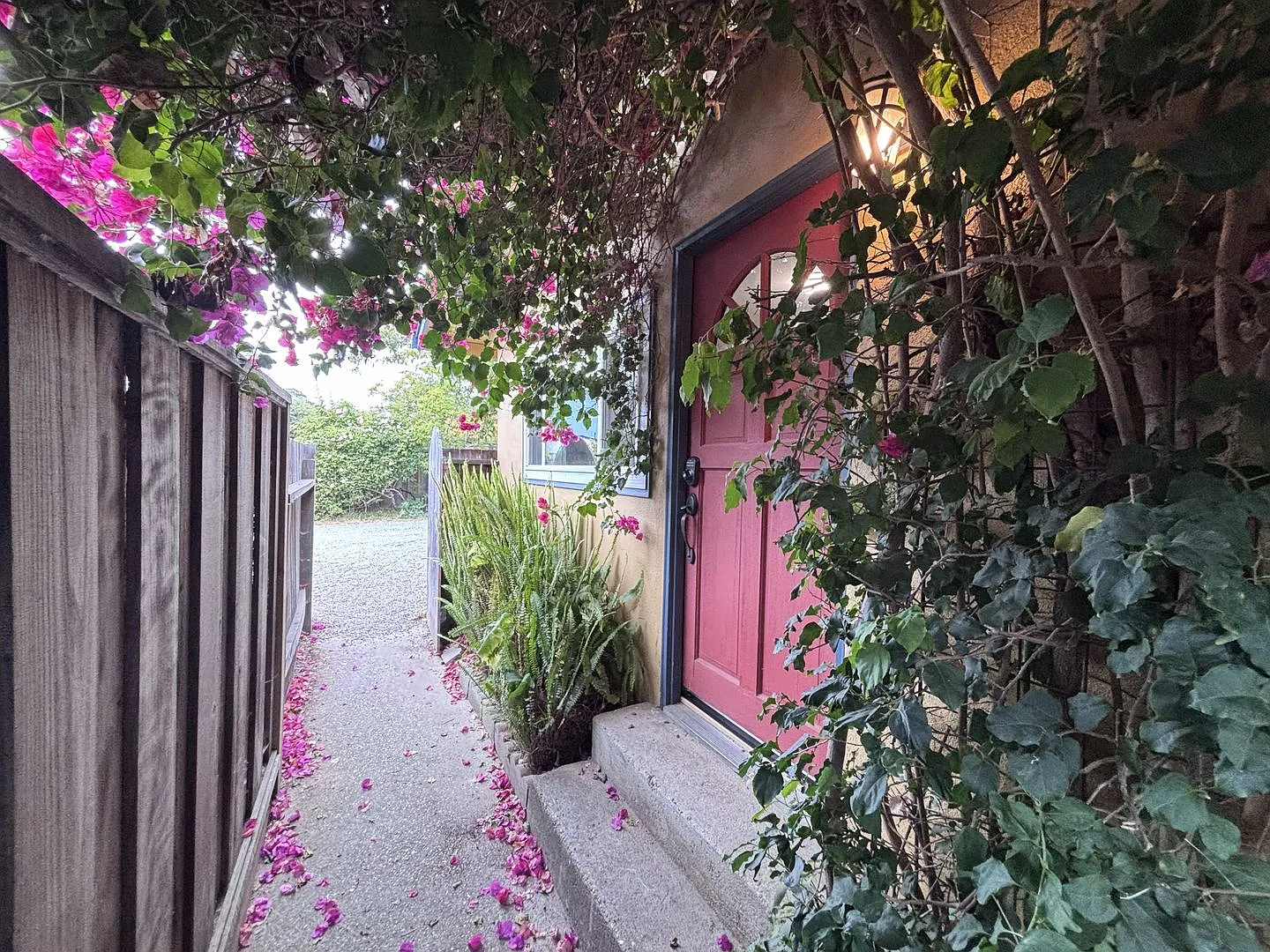 Cozy Soquel 1BR Retreat | Private Entrance & Mature Landscaping — Photo 2