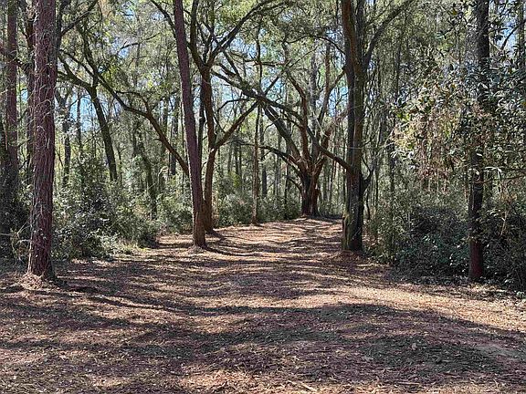 3rd image of 241 Old Dirt Rd
