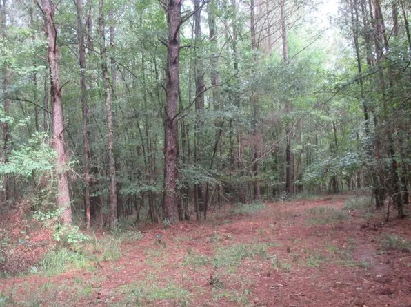 0 Hardy Williams Rd, Pinola, MS 39149
