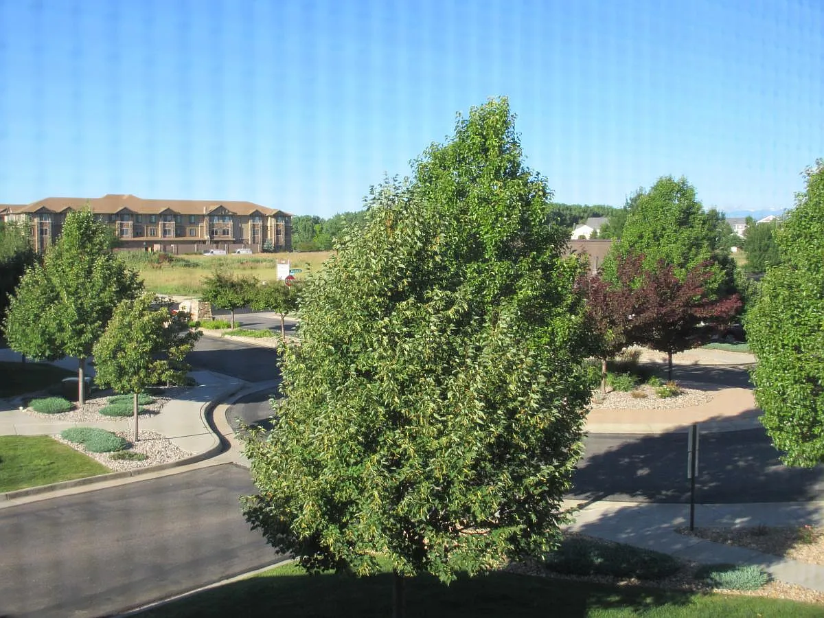 4815 Hahns Peak Dr — Photo 2