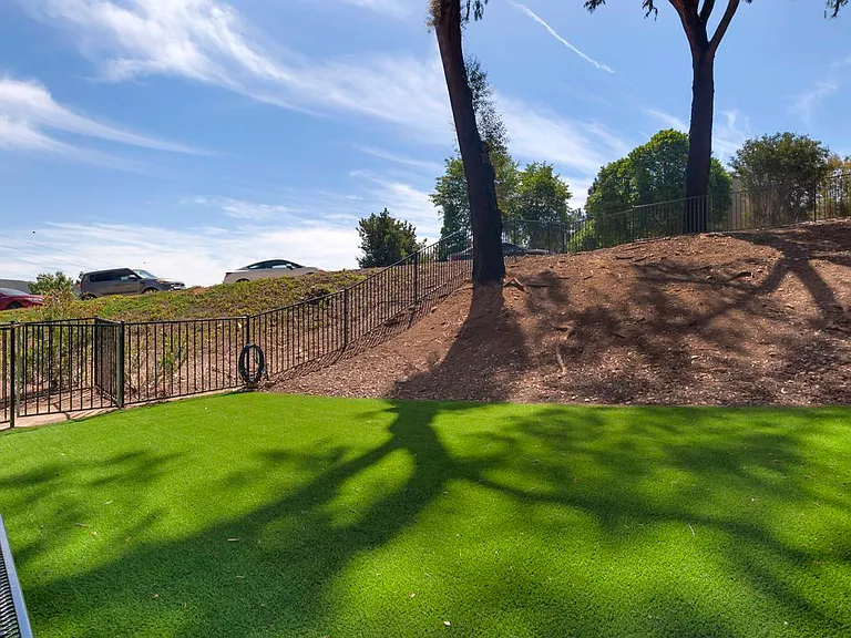 Dog Park