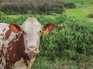 130 Pulver Rd, Millerton, NY 12546