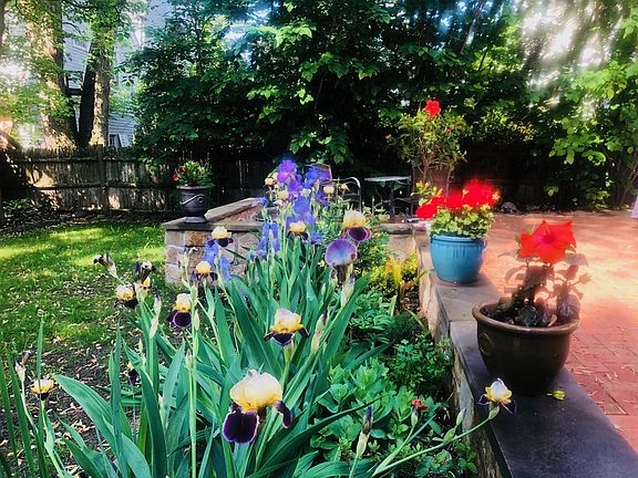 Beautiful backyard lots of flowers and herbs